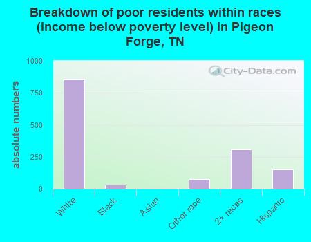 Breakdown of poor residents within races (income below poverty level) in Pigeon Forge, TN