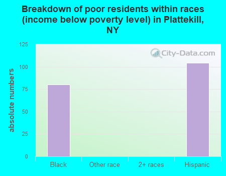 Breakdown of poor residents within races (income below poverty level) in Plattekill, NY