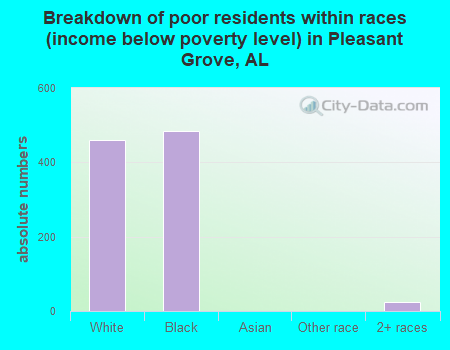 Breakdown of poor residents within races (income below poverty level) in Pleasant Grove, AL
