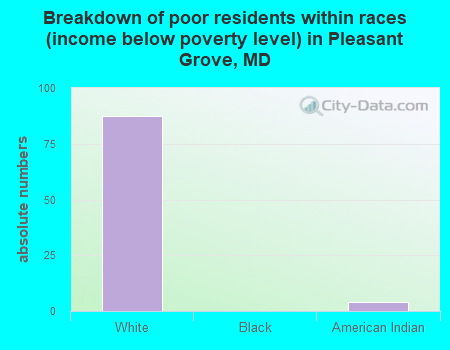 Breakdown of poor residents within races (income below poverty level) in Pleasant Grove, MD