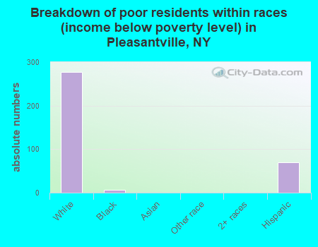 Breakdown of poor residents within races (income below poverty level) in Pleasantville, NY