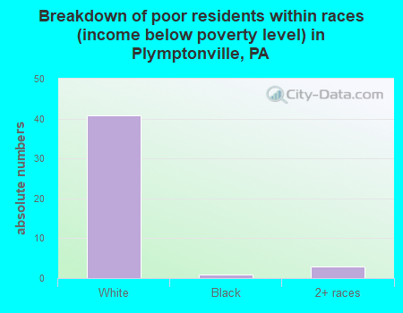 Breakdown of poor residents within races (income below poverty level) in Plymptonville, PA