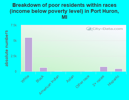 Breakdown of poor residents within races (income below poverty level) in Port Huron, MI