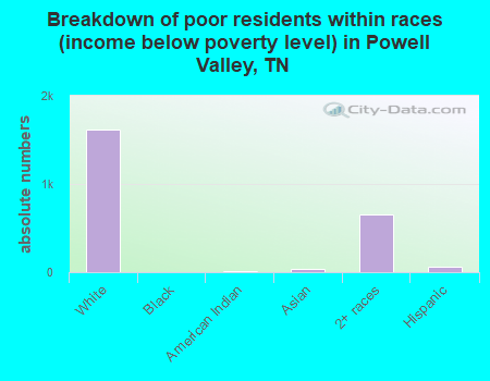 Breakdown of poor residents within races (income below poverty level) in Powell Valley, TN