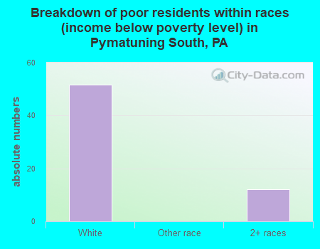 Breakdown of poor residents within races (income below poverty level) in Pymatuning South, PA