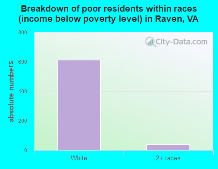 Breakdown of poor residents within races (income below poverty level) in Raven, VA