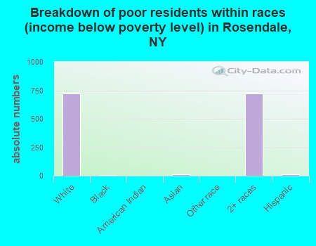 Breakdown of poor residents within races (income below poverty level) in Rosendale, NY