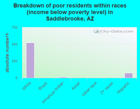 Breakdown of poor residents within races (income below poverty level) in Saddlebrooke, AZ