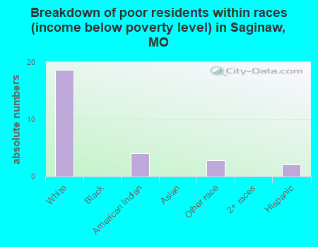 Breakdown of poor residents within races (income below poverty level) in Saginaw, MO