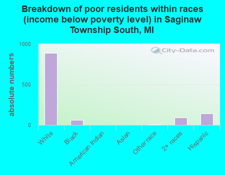 Breakdown of poor residents within races (income below poverty level) in Saginaw Township South, MI
