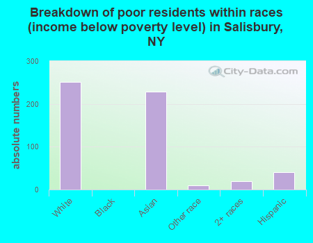 Breakdown of poor residents within races (income below poverty level) in Salisbury, NY