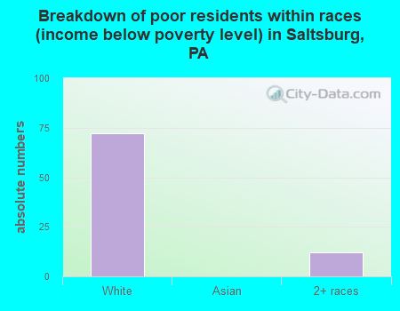 Breakdown of poor residents within races (income below poverty level) in Saltsburg, PA