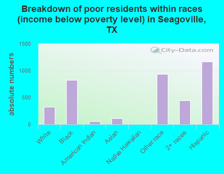 Breakdown of poor residents within races (income below poverty level) in Seagoville, TX
