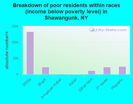 Breakdown of poor residents within races (income below poverty level) in Shawangunk, NY
