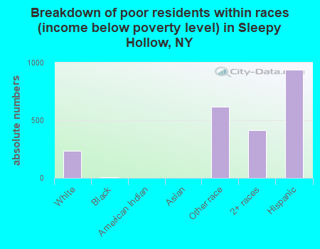Breakdown of poor residents within races (income below poverty level) in Sleepy Hollow, NY