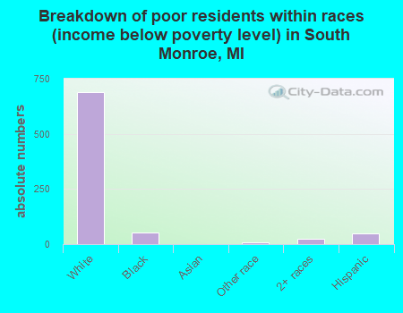Breakdown of poor residents within races (income below poverty level) in South Monroe, MI