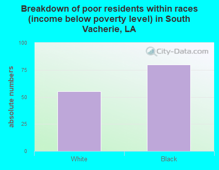 Breakdown of poor residents within races (income below poverty level) in South Vacherie, LA