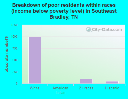 Breakdown of poor residents within races (income below poverty level) in Southeast Bradley, TN