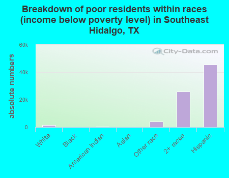 Breakdown of poor residents within races (income below poverty level) in Southeast Hidalgo, TX