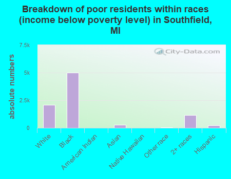 Breakdown of poor residents within races (income below poverty level) in Southfield, MI