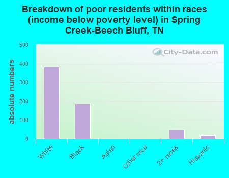 Breakdown of poor residents within races (income below poverty level) in Spring Creek-Beech Bluff, TN
