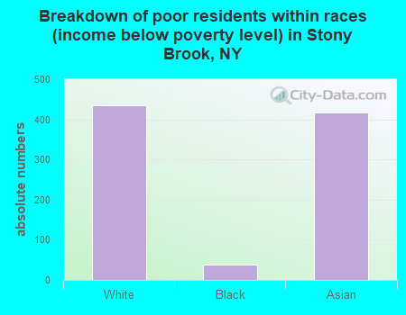 Breakdown of poor residents within races (income below poverty level) in Stony Brook, NY