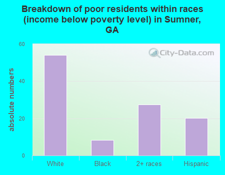 Breakdown of poor residents within races (income below poverty level) in Sumner, GA