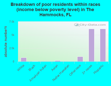 Breakdown of poor residents within races (income below poverty level) in The Hammocks, FL