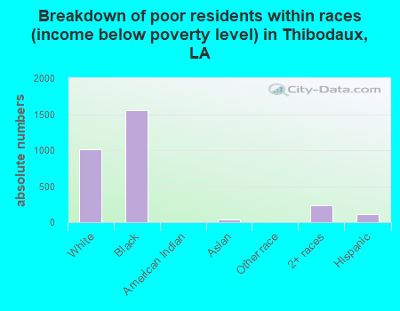 Breakdown of poor residents within races (income below poverty level) in Thibodaux, LA