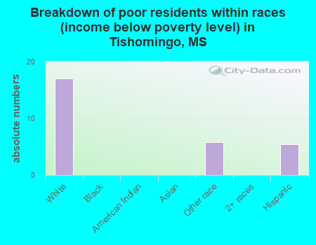 Breakdown of poor residents within races (income below poverty level) in Tishomingo, MS