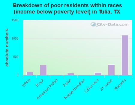 Breakdown of poor residents within races (income below poverty level) in Tulia, TX