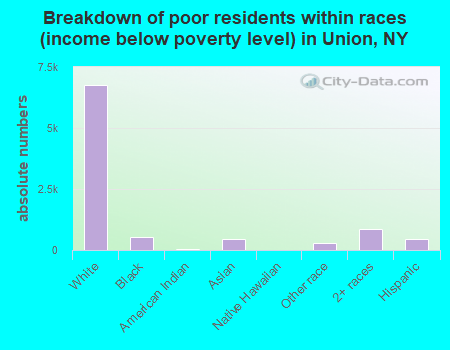 Breakdown of poor residents within races (income below poverty level) in Union, NY