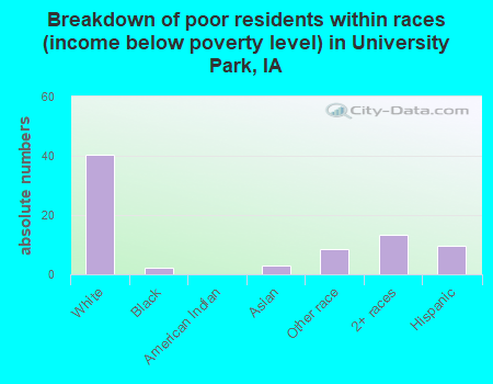Breakdown of poor residents within races (income below poverty level) in University Park, IA