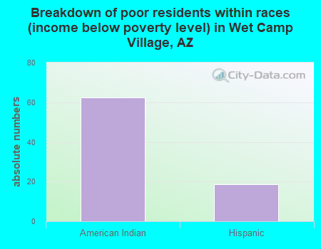 Breakdown of poor residents within races (income below poverty level) in Wet Camp Village, AZ