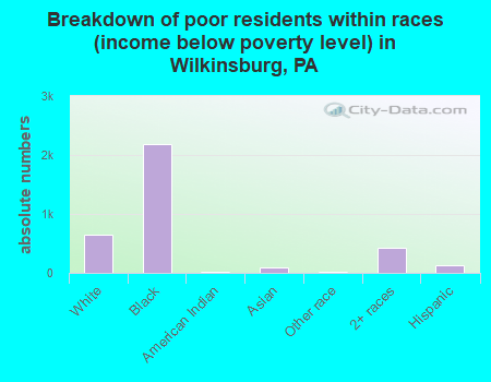 Breakdown of poor residents within races (income below poverty level) in Wilkinsburg, PA