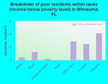 Breakdown of poor residents within races (income below poverty level) in Wimauma, FL