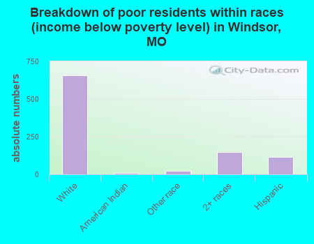 Breakdown of poor residents within races (income below poverty level) in Windsor, MO