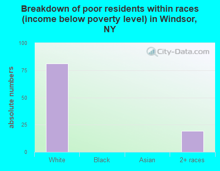 Breakdown of poor residents within races (income below poverty level) in Windsor, NY