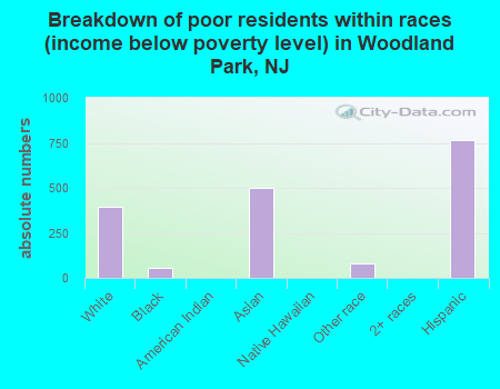 Breakdown of poor residents within races (income below poverty level) in Woodland Park, NJ