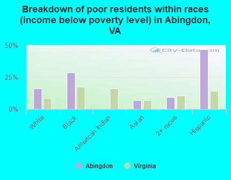 Breakdown of poor residents within races (income below poverty level) in Abingdon, VA