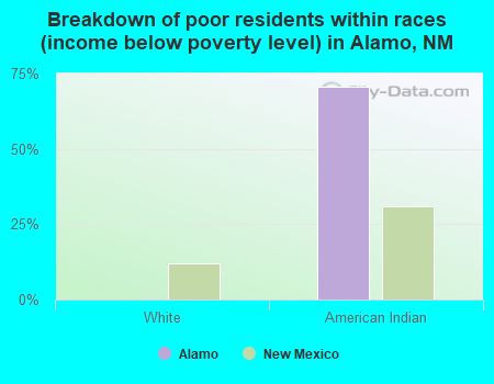 Breakdown of poor residents within races (income below poverty level) in Alamo, NM