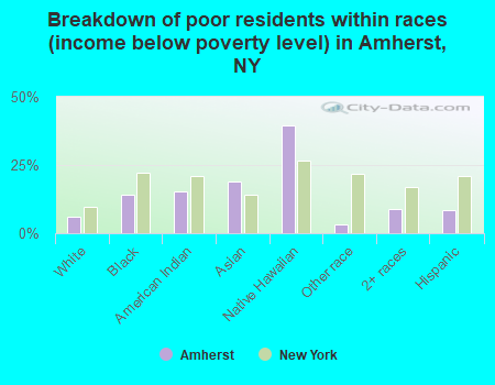 Breakdown of poor residents within races (income below poverty level) in Amherst, NY