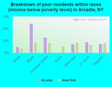 Breakdown of poor residents within races (income below poverty level) in Arcadia, NY