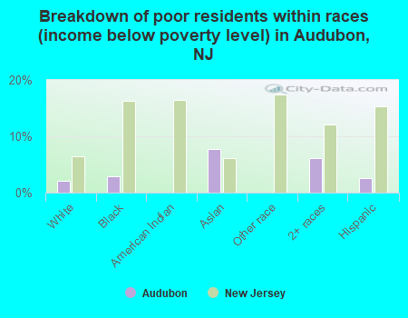 Breakdown of poor residents within races (income below poverty level) in Audubon, NJ