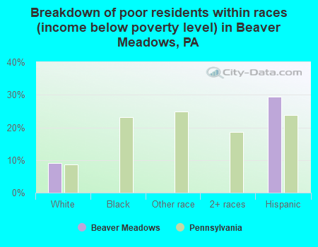 Breakdown of poor residents within races (income below poverty level) in Beaver Meadows, PA
