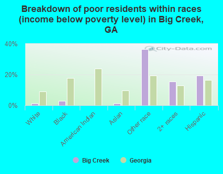Breakdown of poor residents within races (income below poverty level) in Big Creek, GA