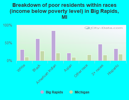 Breakdown of poor residents within races (income below poverty level) in Big Rapids, MI