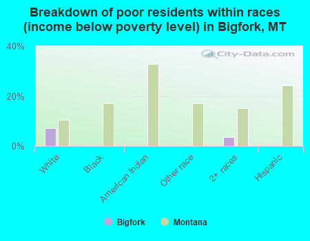 Breakdown of poor residents within races (income below poverty level) in Bigfork, MT