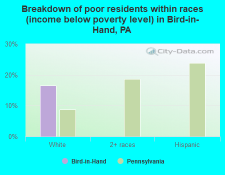 Breakdown of poor residents within races (income below poverty level) in Bird-in-Hand, PA