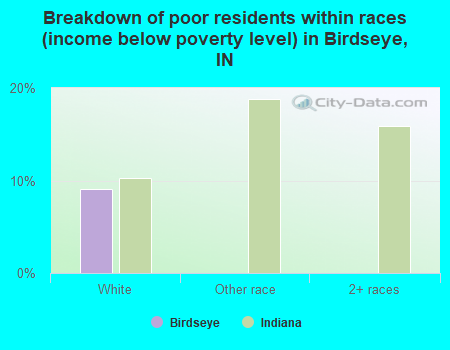 Breakdown of poor residents within races (income below poverty level) in Birdseye, IN